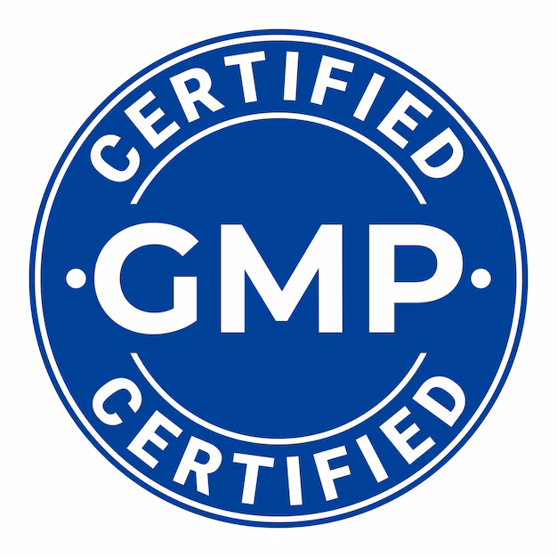 GMP Complementos